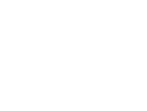 e-accessibility